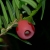 IMGP6952_640.JPG