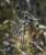 Rad-Netz 2_DSC3612.jpg