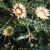 a-scan0003.jpg