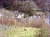 2017-02-28-0003_1024.jpg