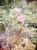 img718-bearb.jpg
