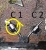 Primarfl5.jpg