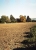 Testbild.jpg