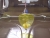 DSCI0983.JPG