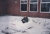img116.jpg