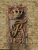 Marienleuchte_DSC0269.jpg