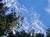 wolken-150.jpg