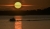 HZ9_2630A.jpg
