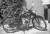 Sachs982.jpg