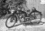 linke Seite Sachs98.jpg