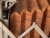 433_2.jpeg