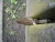 DSC00288.JPG