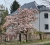 magnolien-2024-001.jpg