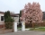 magnolien-2024-008.jpg