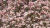 magnolien-2024-009.jpg