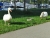 IMG-20240611.jpg
