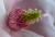 Magnolienblüte 1.jpg