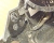 DSC00081_crop.JPG