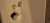 20241009_061616.jpg