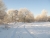 winter_01.jpg