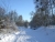 winter-2009-1.JPG