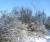 winter-2009-2.JPG