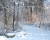 winter-2009-3.JPG