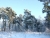 winter-2009-4.JPG