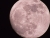 vollmond1.jpg