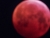 blumond.jpg