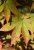 Test-2a.jpg
