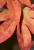 Test-2b.jpg