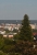 Vgl-Coll-1.jpg