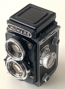 Hara Halma 44
