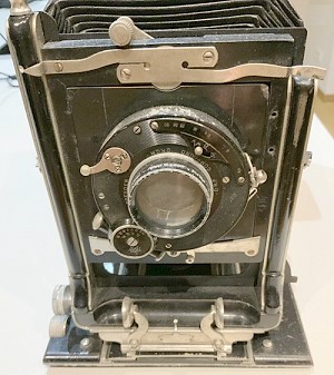 Kruegener Superba